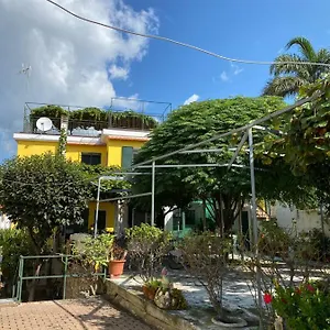 Casa Mimosa: Relax, Vista Mare, Parcheggio Gratis Sanremo